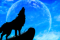 Tens of thousands of unclassified HS codes haunting your team? TariffWolf delivers 20x faster bulk tariff classification with 100% accuracy. Don't trust us—try us.