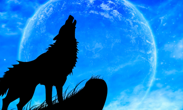 The Backlog That Keeps Compliance Teams Awake at Night